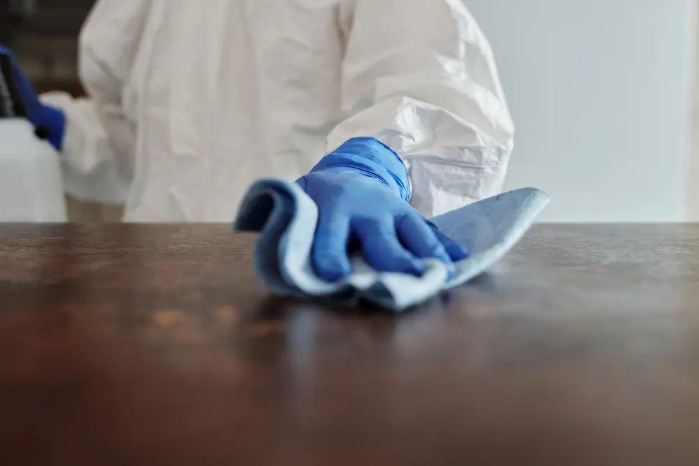 How to Optimize Your Business' Cleaning Routine with the Right Tools
